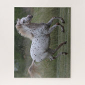 Bob Langrish | Spotty Pony in Amerika läuft Puzzle (Vertikal)