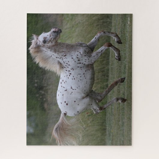 Bob Langrish | Spotty Pony in Amerika läuft Puzzle (Vertikal)