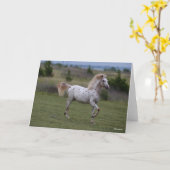 Bob Langrish | Spotty Pony of America Karte (Gelbe Blume)