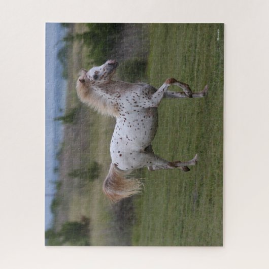 Bob Langrish | Spotty Pony of America Puzzle (Vertikal)