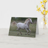 Bob Langrish | Spotty Pony Of America Running Karte (Gelbe Blume)