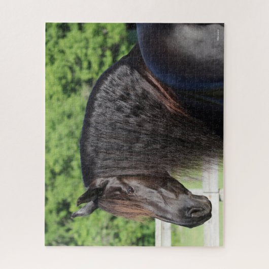 Bob Langrish | Stehender Kopfschuss von Friesian H Puzzle (Vertikal)