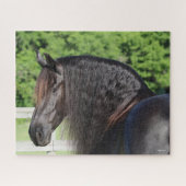 Bob Langrish | Stehender Kopfschuss von Friesian H Puzzle (Horizontal)