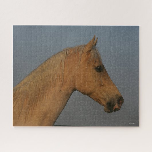 Bob Langrish | Tennessee Walker Mistball Headshot Puzzle (Horizontal)