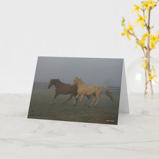 Bob Langrish | Tennessee Wanderpferde laufen Karte (Gelbe Blume)