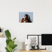 Bob Langrish Tobiano Paint Horse Stallion Headshot Poster (Heimbüro)
