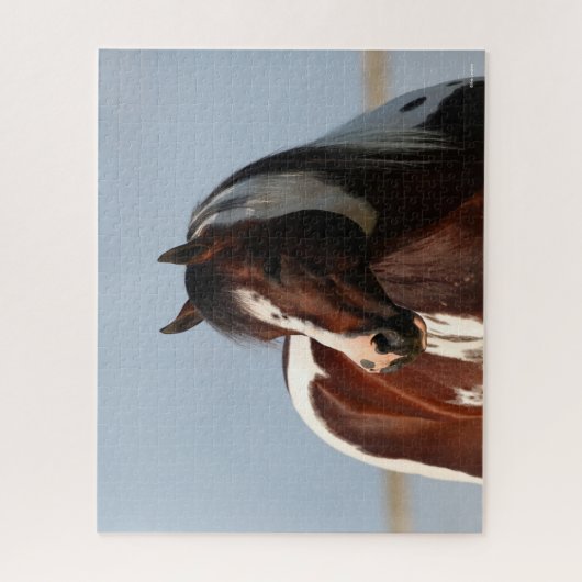 Bob Langrish Tobiano Paint Horse Stallion Headshot Puzzle (Vertikal)