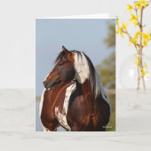 Bob Langrish Tobiano Paint Horse Stallion Kopfschu Karte (Gelbe Blume)
