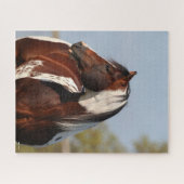 Bob Langrish Tobiano Paint Horse Stallion Kopfschu Puzzle (Horizontal)