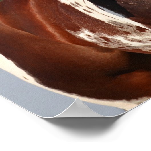 Bob Langrish | Tobiano Paint Stallion Headshot Poster (Ecke)