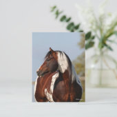 Bob Langrish | Tobiano Paint Stallion Headshot Postkarte (Stehend Vorderseite)