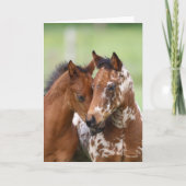 Bob Langrish | Two Appaloosa Foals Meeting Karte (Vorderseite)