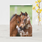 Bob Langrish | Two Appaloosa Foals Meeting Karte (Gelbe Blume)