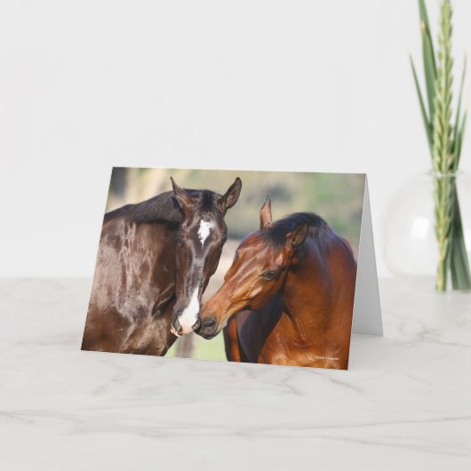 Bob Langrish | Two Canadian Sport Horses Meeting Karte (Vorderseite)