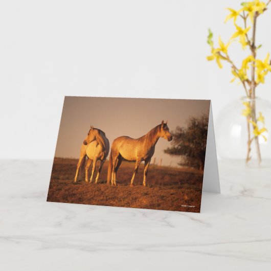 Bob Langrish | Two Grey Arabs Standing at Sunset Karte (Gelbe Blume)