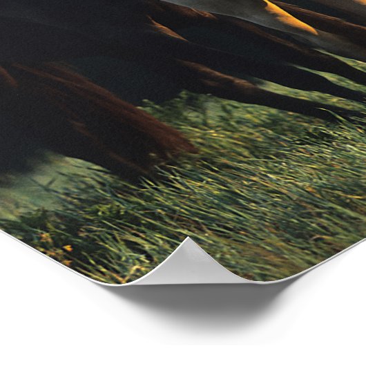 Bob Langrish | Two Kiger Mustangs Standing Poster (Ecke)