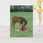 Bob Langrish | Two Morgan Horse Foals Playing Karte (Gelbe Blume)