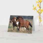 Bob Langrish Two Shetland Ponies laufen zusammen Karte (Gelbe Blume)