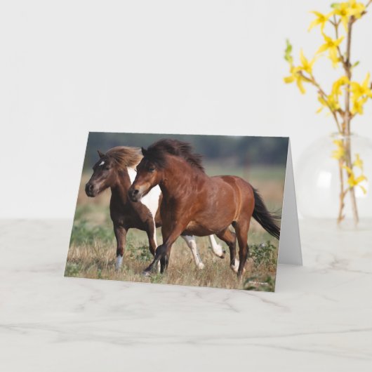 Bob Langrish Two Shetland Ponies laufen zusammen Karte (Gelbe Blume)