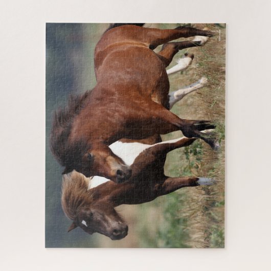Bob Langrish Two Shetland Ponies Running Together Puzzle (Vertikal)