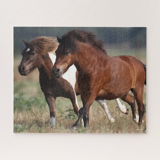 Bob Langrish Two Shetland Ponies Running Together Puzzle (Horizontal)