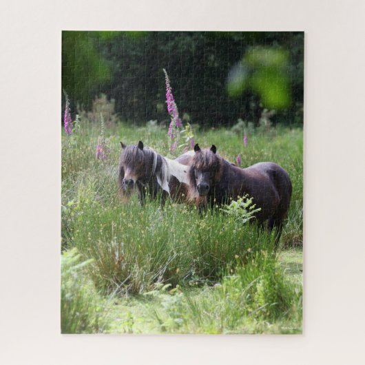 Bob Langrish Two Shetland Ponies Stehend Puzzle (Vertikal)