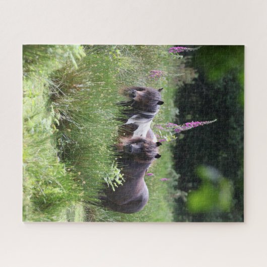 Bob Langrish Two Shetland Ponies Stehend Puzzle (Horizontal)