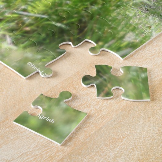 Bob Langrish Two Shetland Ponies Stehend Puzzle (Seite)