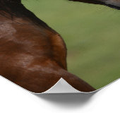 Bob Langrish | Two Welsh Ponies Meeting Poster (Ecke)