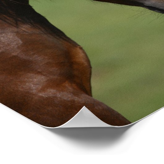 Bob Langrish | Two Welsh Ponies Meeting Poster (Ecke)