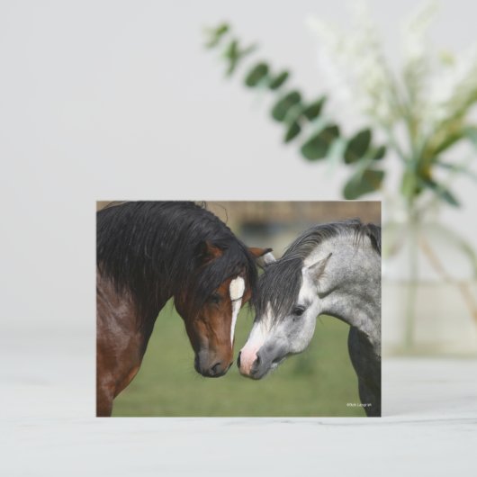 Bob Langrish | Two Welsh Ponies Meeting Postkarte (Stehend Vorderseite)