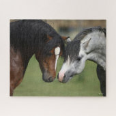 Bob Langrish | Two Welsh Ponies Meeting Puzzle (Horizontal)