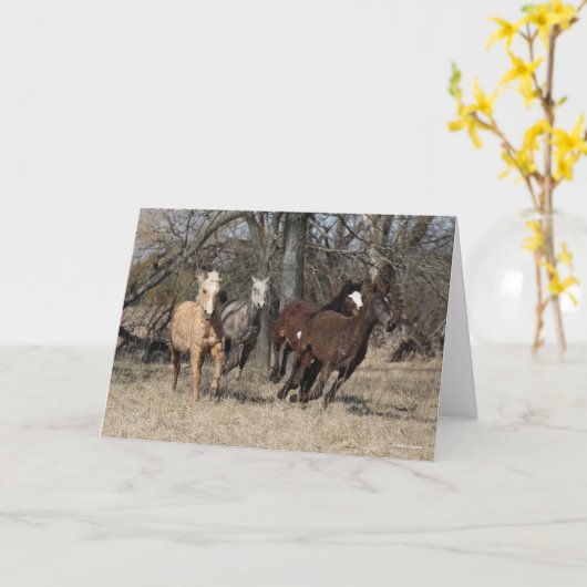 Bob Langrish | Vier Bashkir Curly Pferde laufen Karte (Gelbe Blume)