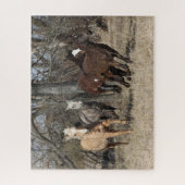 Bob Langrish | Vier Bashkir Curly Pferde laufen Puzzle (Vertikal)