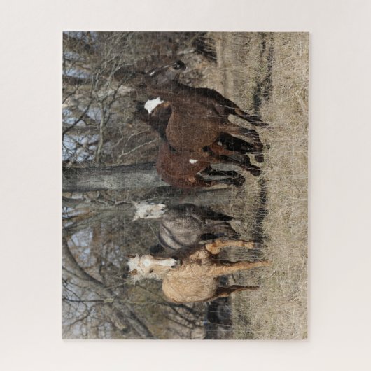 Bob Langrish | Vier Bashkir Curly Pferde laufen Puzzle (Vertikal)