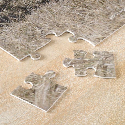 Bob Langrish | Vier Bashkir Curly Pferde laufen Puzzle (Seite)