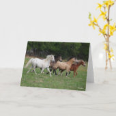 Bob Langrish | Vier Ponys, die zusammenlaufen Karte (Gelbe Blume)