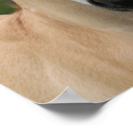 Bob Langrish | Viertelfinale Poster (Ecke)