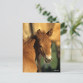 Bob Langrish | Viertelfinale Postkarte (Stehend Vorderseite)