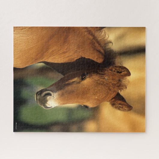 Bob Langrish | Viertelfinale Puzzle (Horizontal)