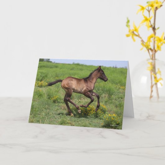 Bob Langrish | Vierteljahrspferd Karte (Gelbe Blume)