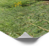 Bob Langrish | Vierteljahrspferd Poster (Ecke)