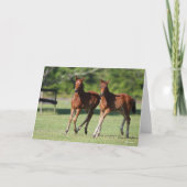 Bob Langrish | Viertelstiere Karte (Vorderseite)