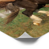 Bob Langrish | Vollblüter und Shetland Pony Poster (Ecke)