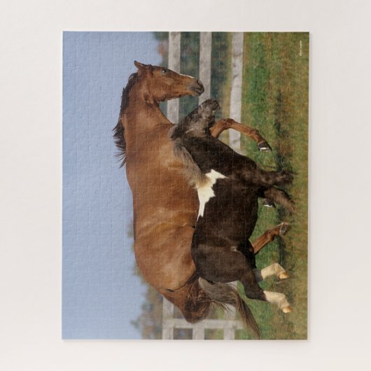 Bob Langrish | Vollblüter und Shetland Pony Puzzle (Vertikal)