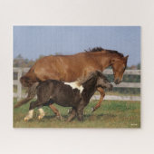 Bob Langrish | Vollblüter und Shetland Pony Puzzle (Horizontal)