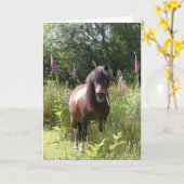 Bob Langrish | Von Blume Stehendes Shetland Pony Karte (Gelbe Blume)