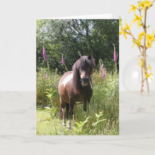 Bob Langrish | Von Blume Stehendes Shetland Pony Karte (Gelbe Blume)