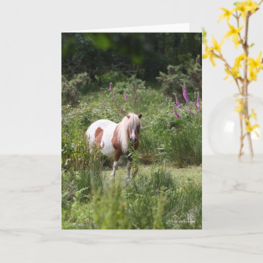 Bob Langrish | Von Blume Stehendes Shetland Pony Karte (Gelbe Blume)