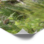 Bob Langrish | Von Blume Stehendes Shetland Pony Poster (Ecke)